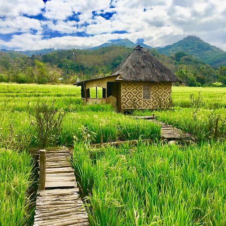 Tado Homestay Limbung المظهر الخارجي الصورة