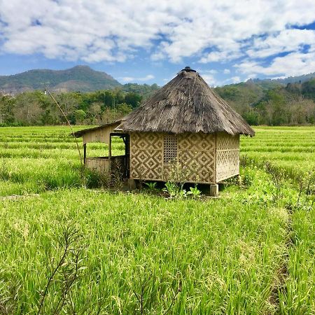 Tado Homestay Limbung المظهر الخارجي الصورة