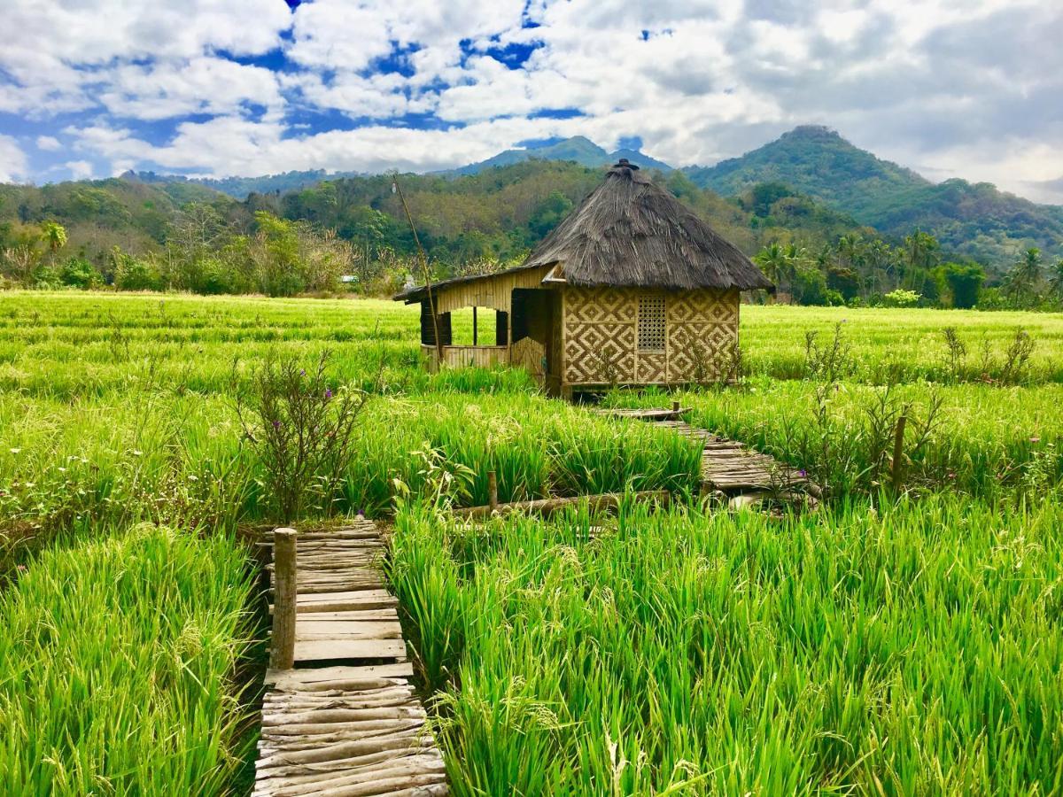 Tado Homestay Limbung المظهر الخارجي الصورة